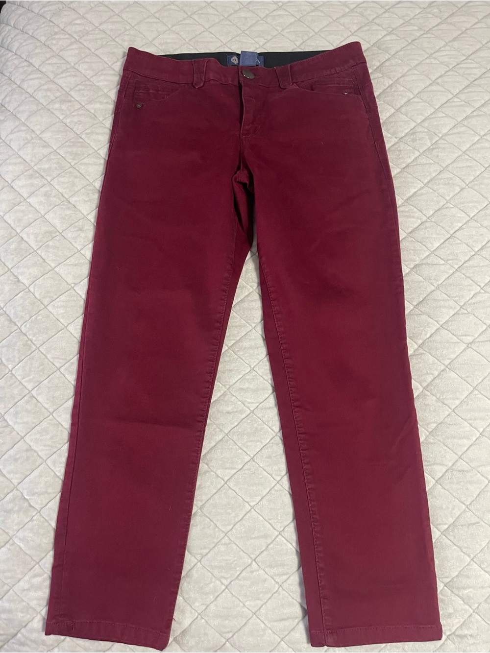Democracy Maroon High-Rise Pants